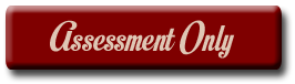 Button to purchase Website Journey Assessment